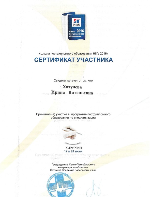 Документ или сертификат
