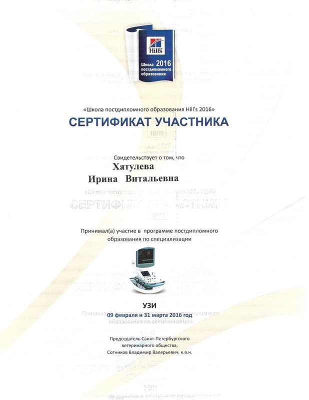 Документ или сертификат
