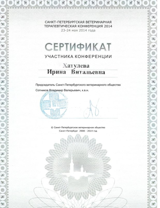 Документ или сертификат