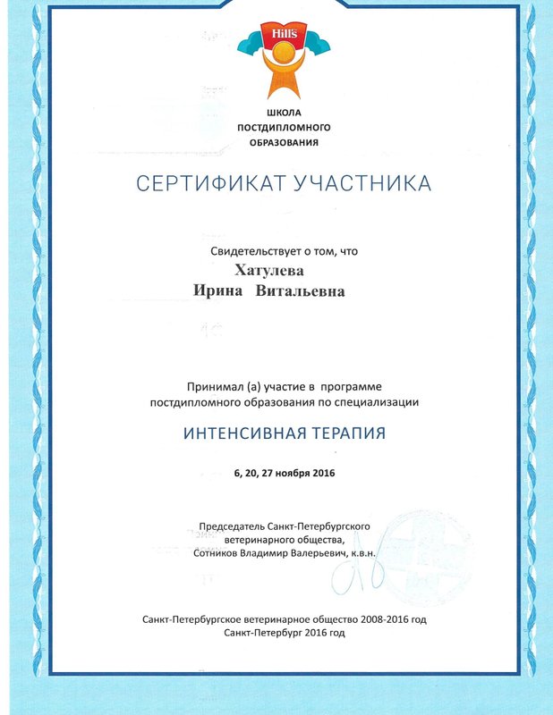 Документ или сертификат