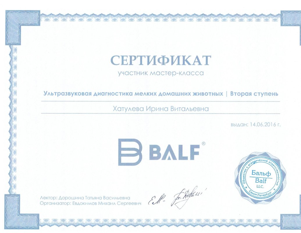 Документ или сертификат