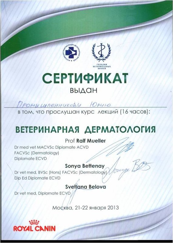 Документ или сертификат