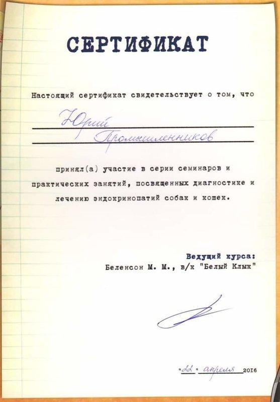 Документ или сертификат