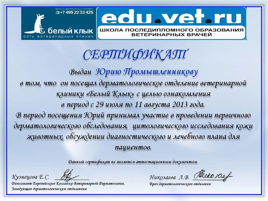 Документ или сертификат