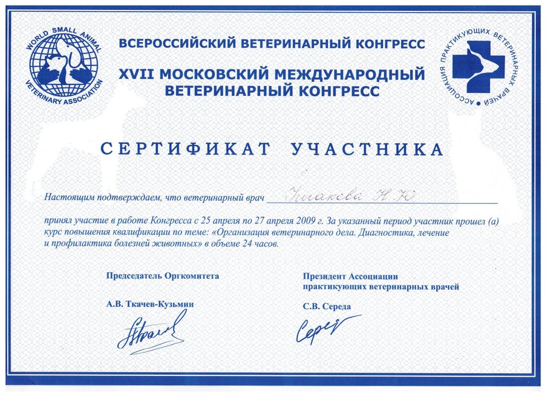 Документ или сертификат