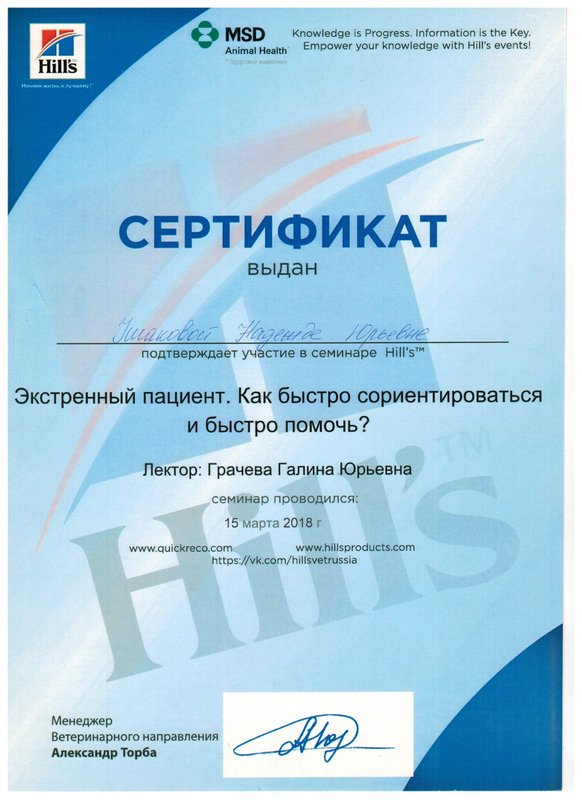Документ или сертификат