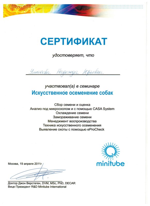 Документ или сертификат