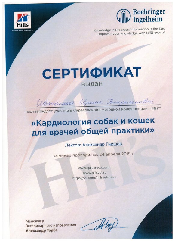 Документ или сертификат