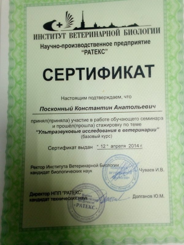 Документ или сертификат