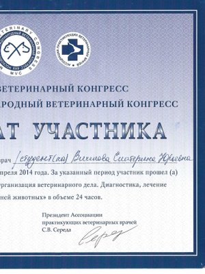 Фото врача Вилкова Екатерина Юрьевна