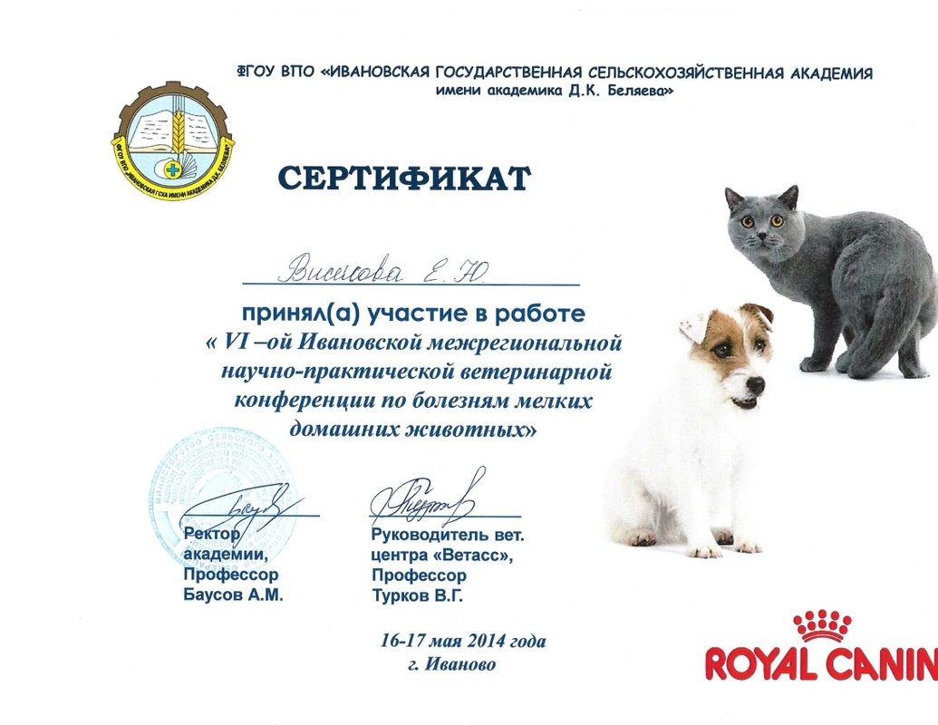 Документ или сертификат