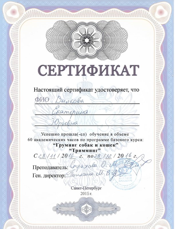 Документ или сертификат