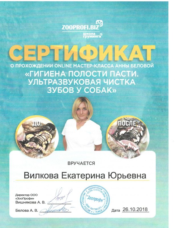 Документ или сертификат