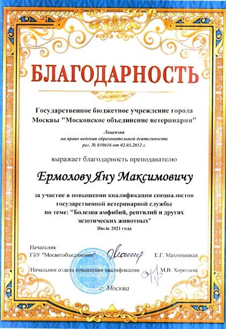Документ или сертификат