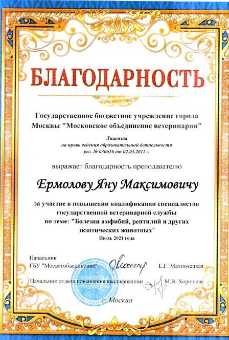 Документ или сертификат