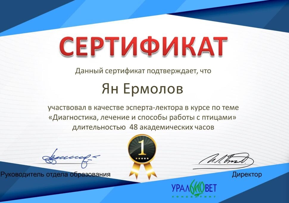 Документ или сертификат