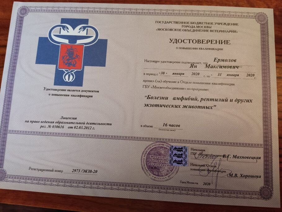 Документ или сертификат