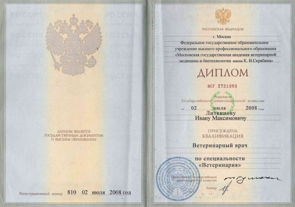 Документ или сертификат