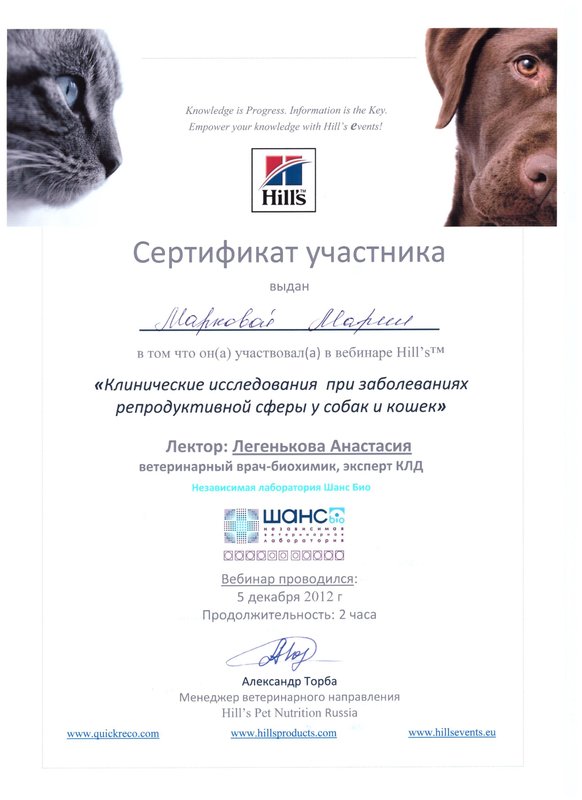 Документ или сертификат