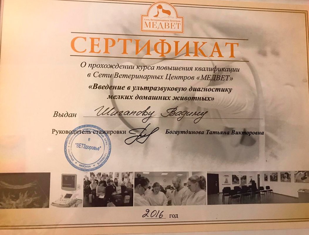 Документ или сертификат