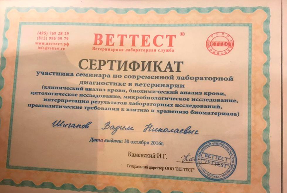 Документ или сертификат