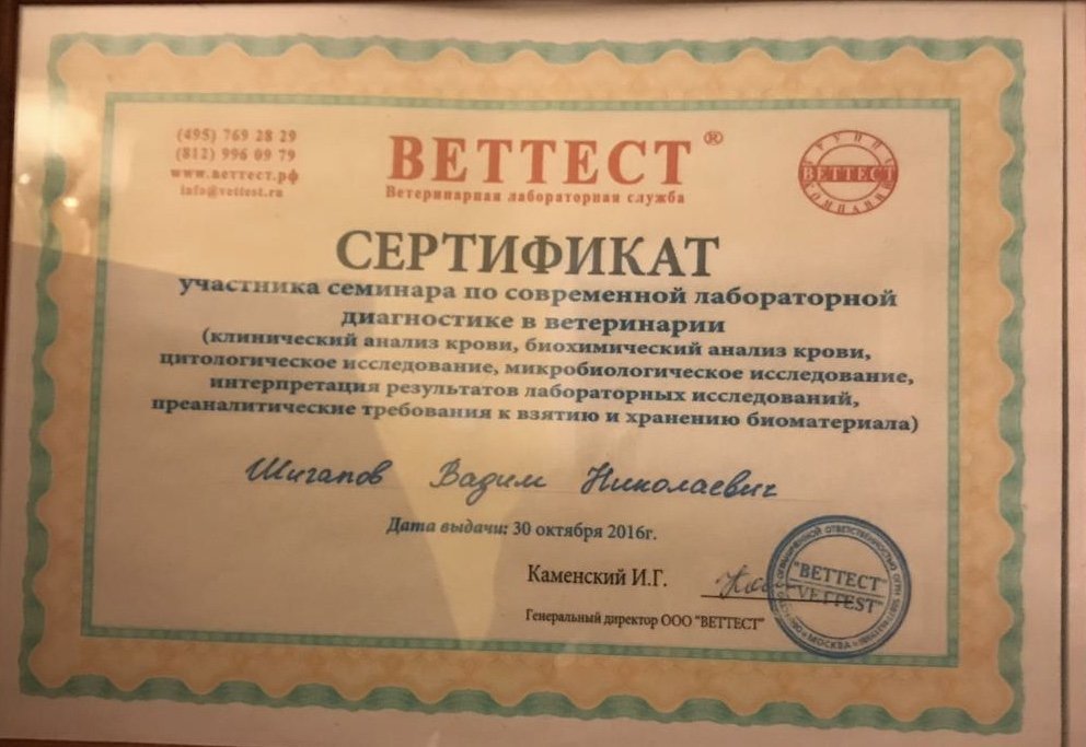 Документ или сертификат