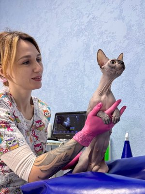 Фото врача Кайнова Елена Сергеевна