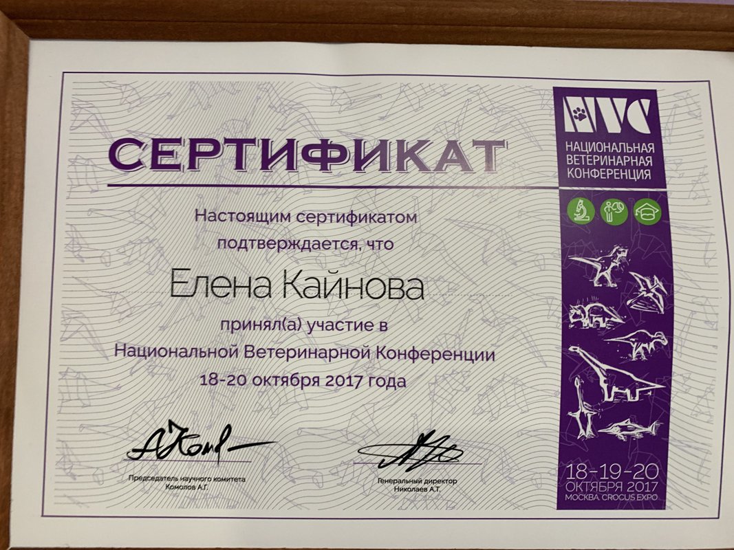 Документ или сертификат