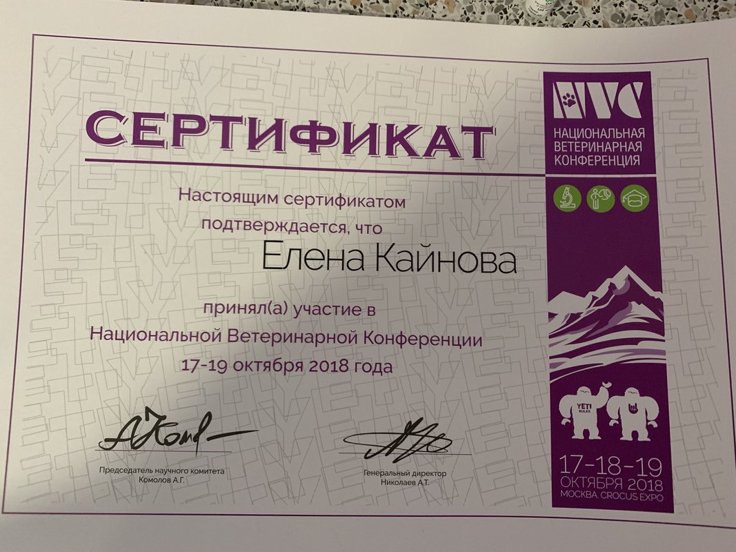 Документ или сертификат
