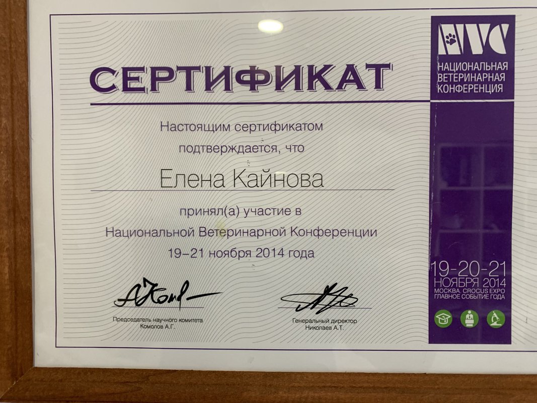 Документ или сертификат