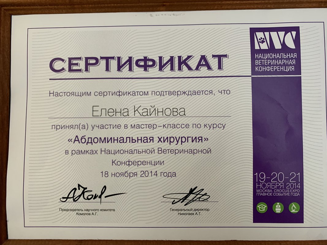 Документ или сертификат