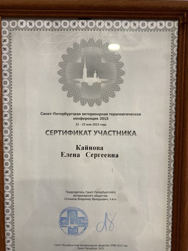 Документ или сертификат