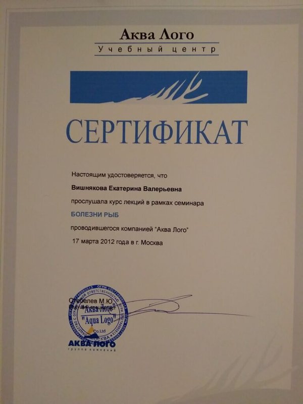 Документ или сертификат