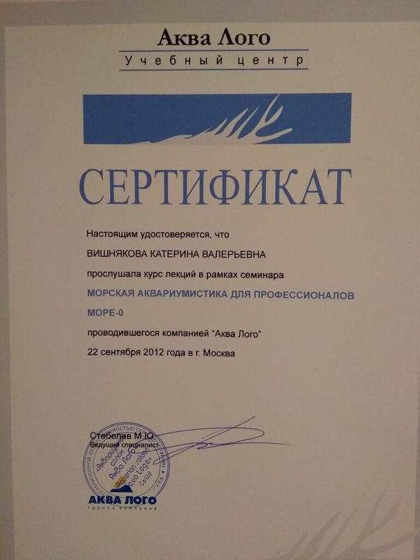 Документ или сертификат
