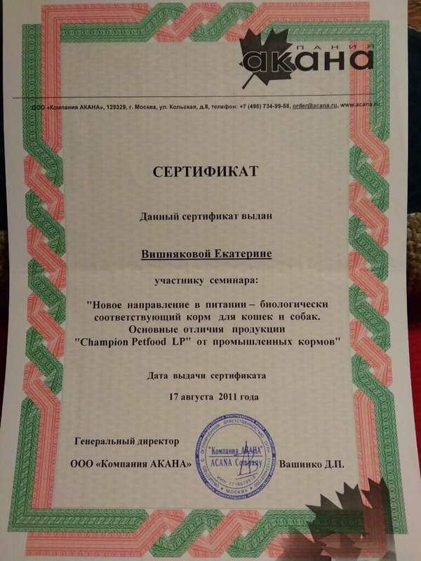 Документ или сертификат