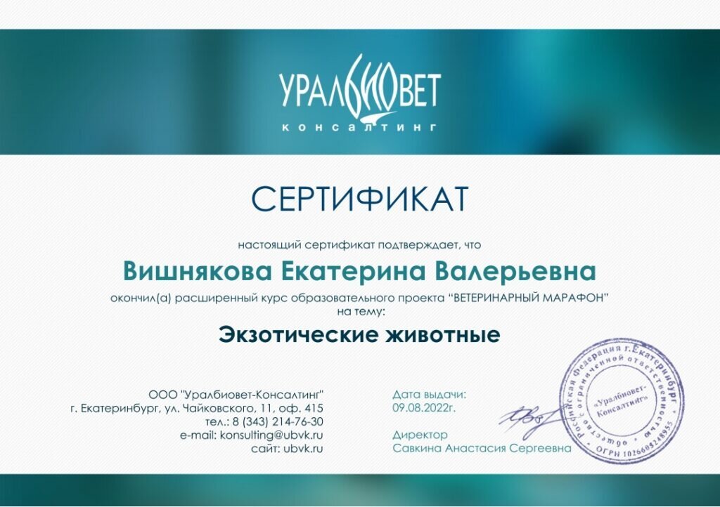 Документ или сертификат