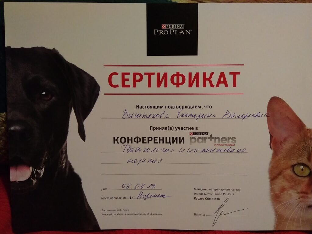 Документ или сертификат