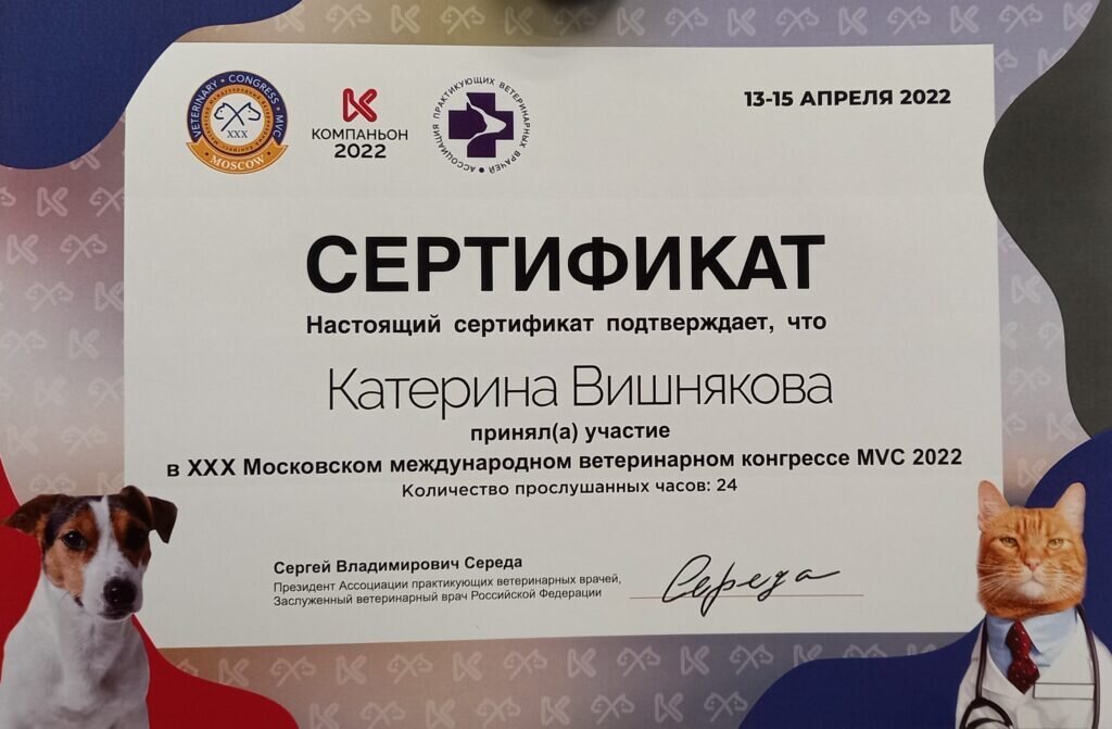 Документ или сертификат