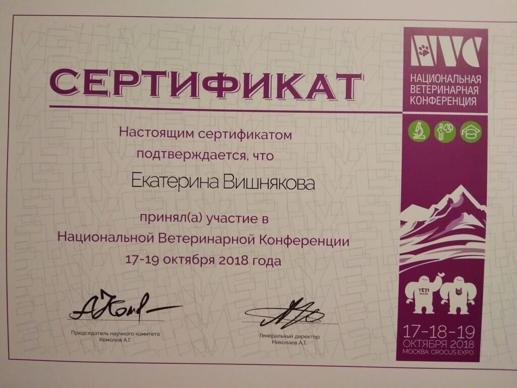 Документ или сертификат