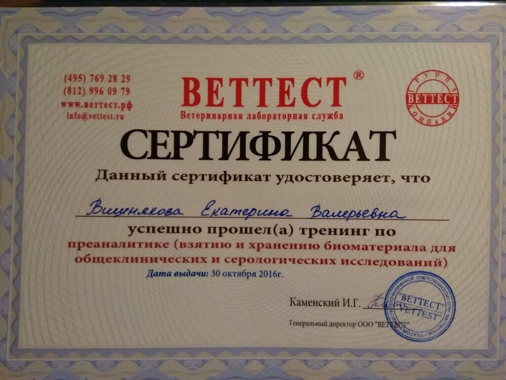 Документ или сертификат