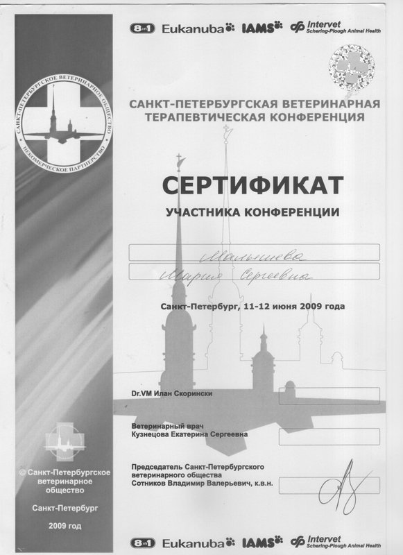Документ или сертификат
