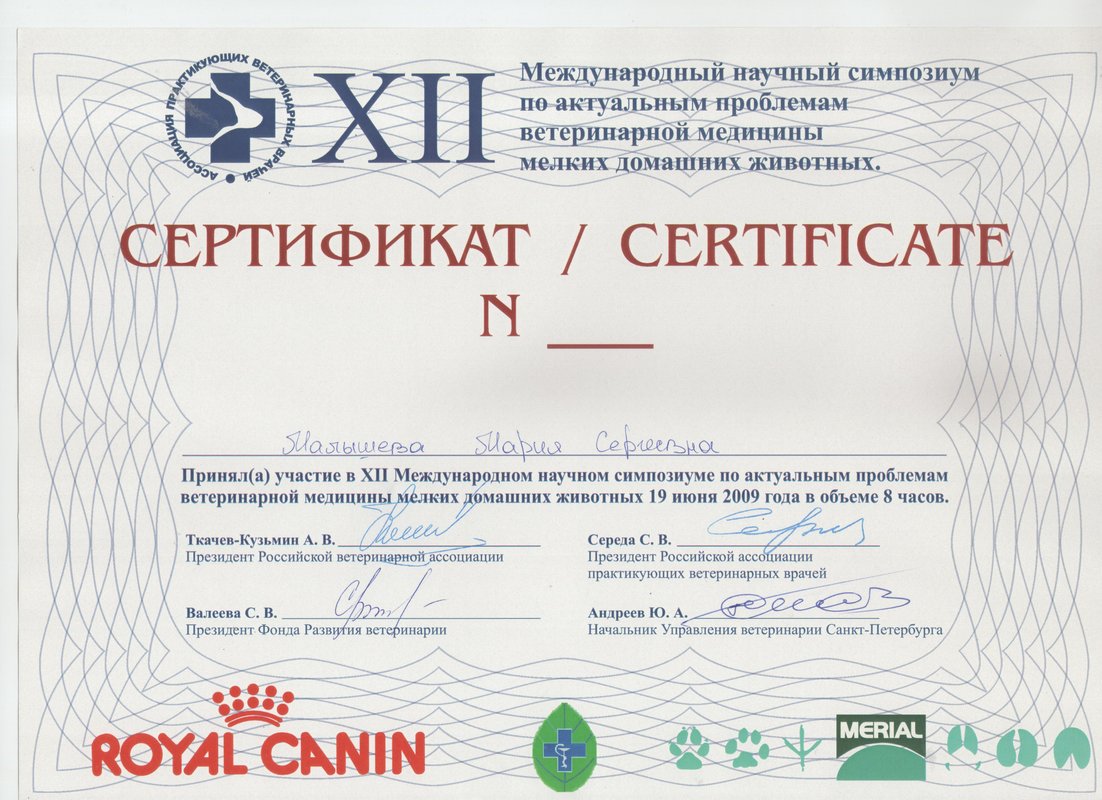 Документ или сертификат