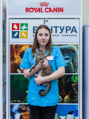 Фото врача Горохова Алина Геннадьевна