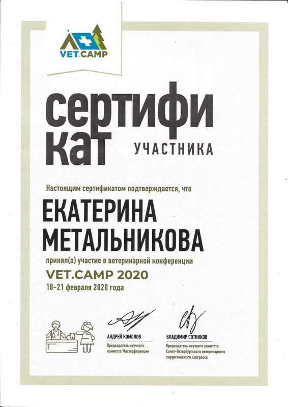 Документ или сертификат