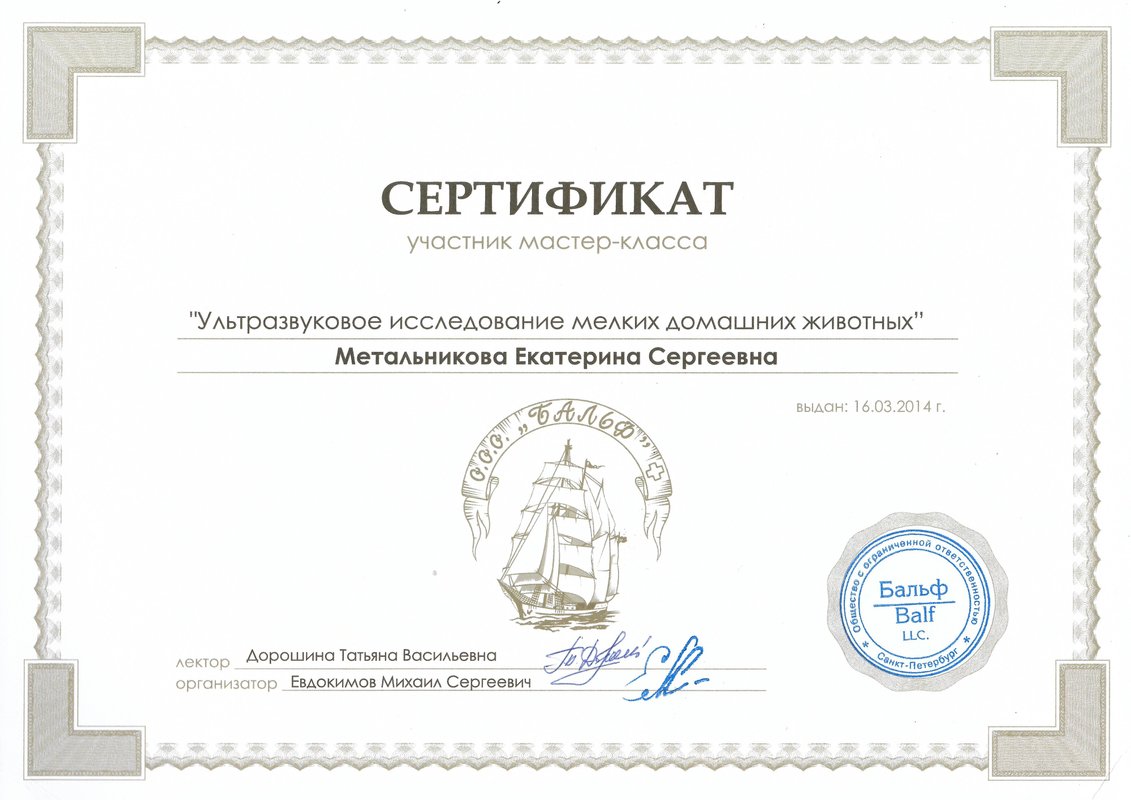 Документ или сертификат