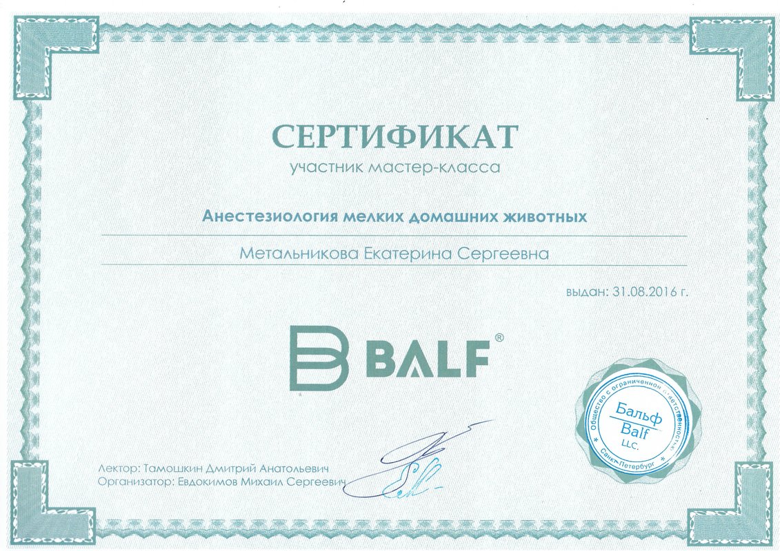 Документ или сертификат