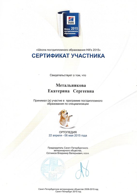 Документ или сертификат