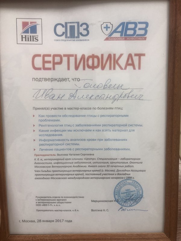 Документ или сертификат