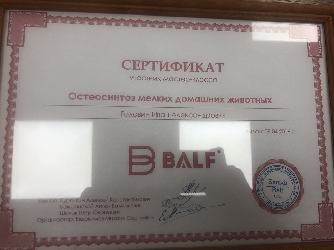 Документ или сертификат