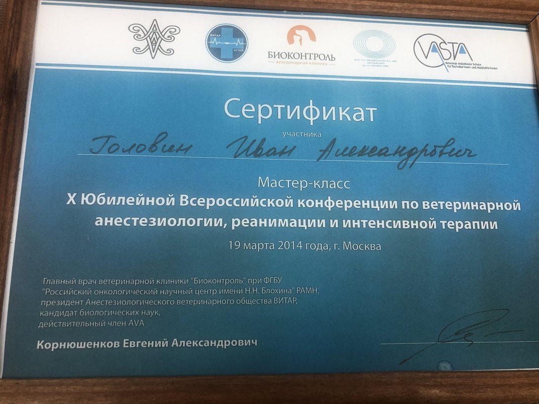 Документ или сертификат